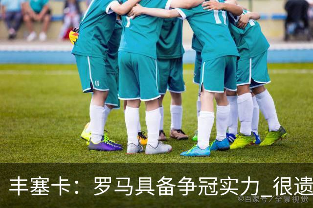 丰塞卡：罗马具备争冠实力 很遗憾迪巴拉因伤停下了脚步