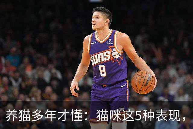 养猫多年才懂：猫咪这5种表现，不是撒娇，是旺家的征兆