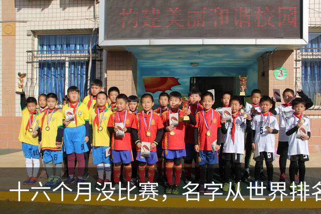 十六个月没比赛，名字从世界排名上消失：19岁的全红婵，还能自己走回去吗？