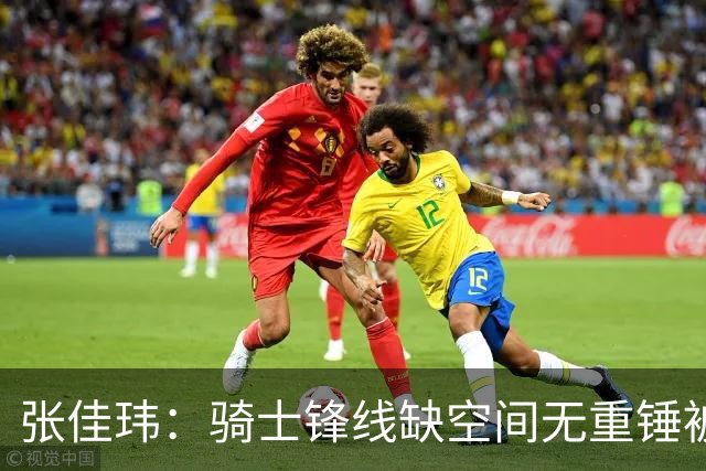 张佳玮：骑士锋线缺空间无重锤被鹰克制 哈登赛季最佳表现难救主