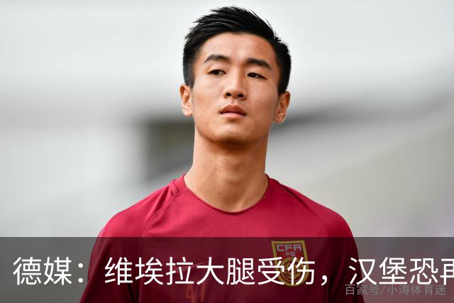 德媒：维埃拉大腿受伤，汉堡恐再失一名核心球员