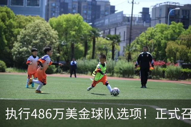 执行486万美金球队选项！正式召回！杨瀚森双喜临门