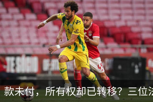 款未付，所有权却已转移？三位法学专家提出异议，陕西1200万元原煤追偿案申请再审
