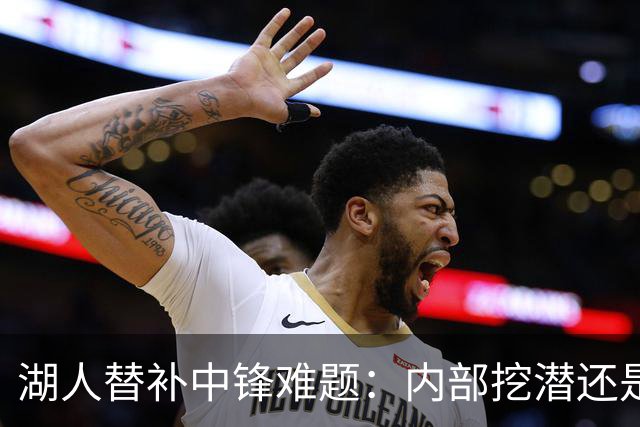 湖人替补中锋难题：内部挖潜还是外部补强？