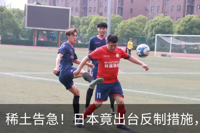 稀土告急！日本竟出台反制措施，同一天官宣高市拟赴深圳参加APEC