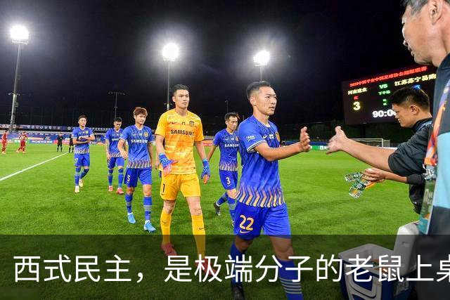 西式民主，是极端分子的老鼠上桌