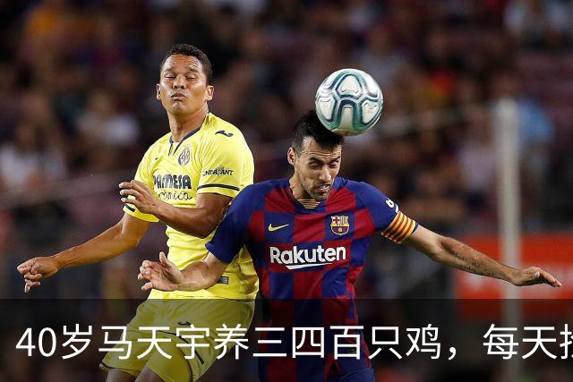 40岁马天宇养三四百只鸡，每天捡100多枚蛋，自曝钱够花便无所谓，是活明白了还是提前认输