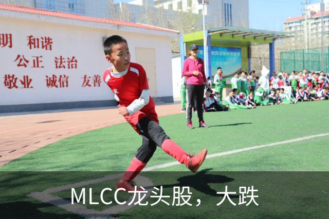 MLCC龙头股，大跌