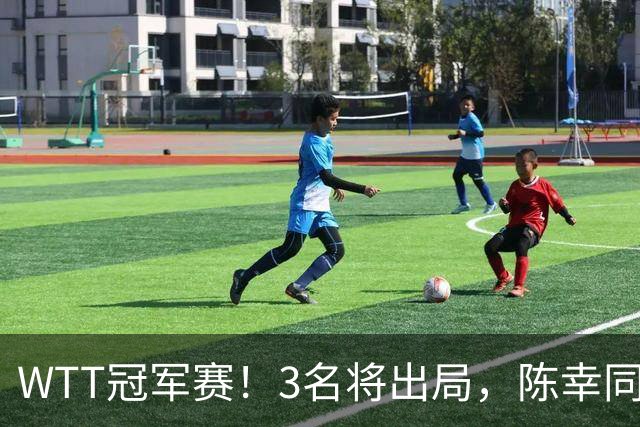 WTT冠军赛！3名将出局，陈幸同，国乒大获全胜，周启豪超级逆转